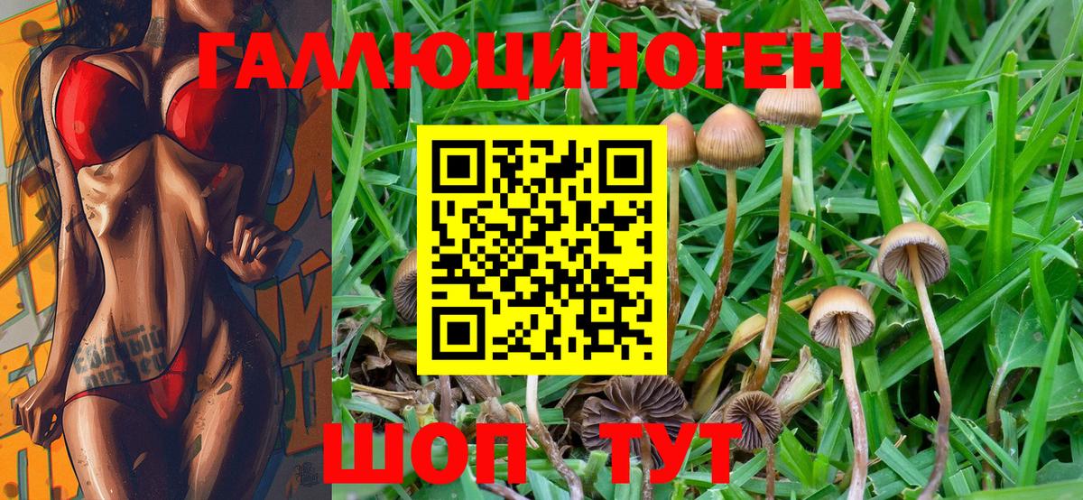 Псилоцибиновые грибы Cubensis Самара